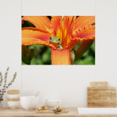 Kikker Poster (Keuken)