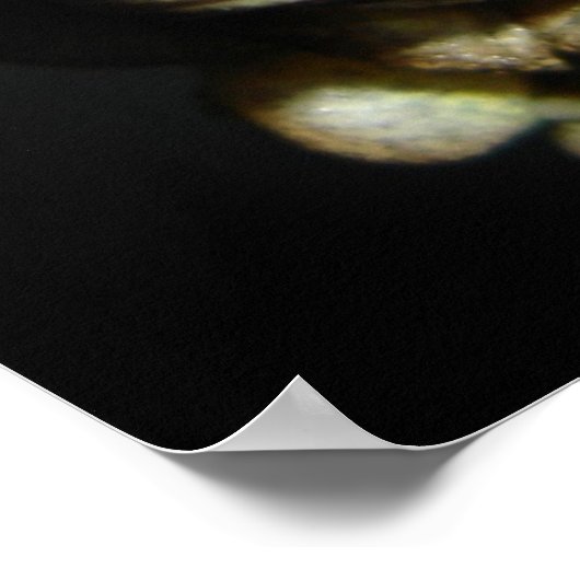 Kikker Poster (Hoek)