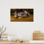 Kikker Poster (Keuken)