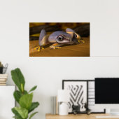 Kikker Poster (Thuiskantoor)