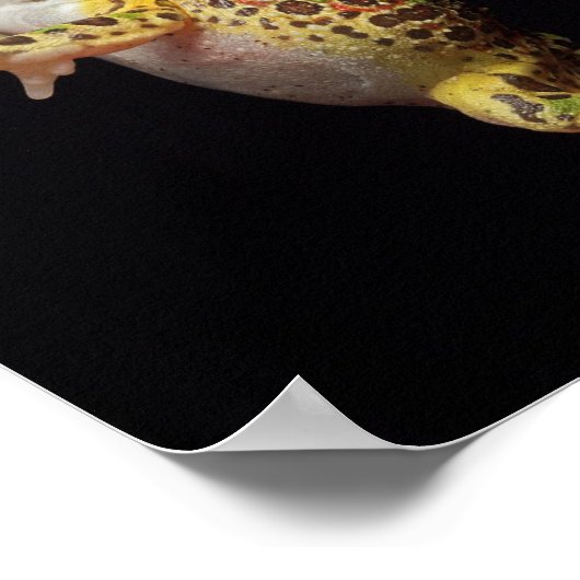 kikker poster (Hoek)