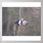 Kikker Poster (Voorkant)