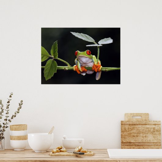 Kikker Poster (Keuken)