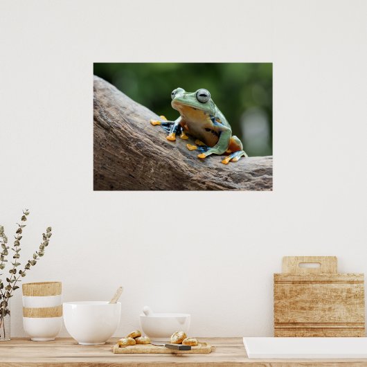 Kikker Poster (Keuken)