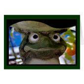 Kikker Prince (Voorkant Horizontaal)