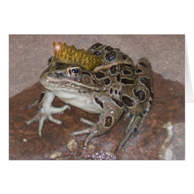 Kikker Prince (Voorkant Horizontaal)