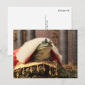 Kikker Prince Briefkaart (Voorkant / Achterkant)