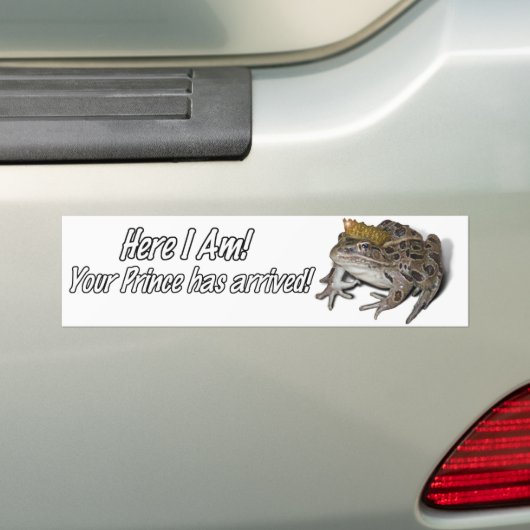 Kikker Prince Bumpersticker (Op auto)