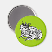 Kikker Prince Magneet (Voorkant / Achterkant)