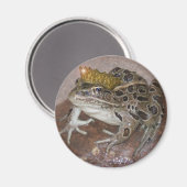 Kikker Prince Magneet (Voorkant / Achterkant)