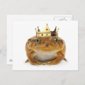 Kikker Prins - voorste uitzicht Briefkaart (Voorkant / Achterkant)