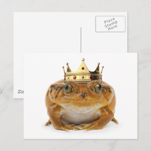 Kikker Prins - voorzijde Briefkaart (Voorkant / Achterkant)