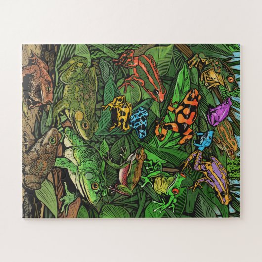 Kikker Puzzle Easy Legpuzzel (Horizontaal)