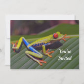 Kikker Red Eye Foto Birthday Kaart (Voorkant)