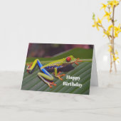 Kikker Red Eye Photo Birthday Kaart (Gele Bloem)