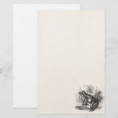 Kikker - Reptiele kikkervis Sjabloon blanco Briefpapier (Voorkant / Achterkant)
