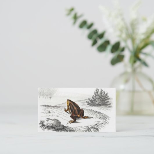 Kikker Reptile  Art Visitekaartje (Staand voorkant)