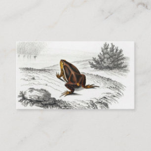 Kikker Reptile Art Visitekaartje
