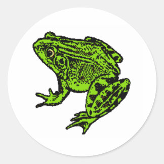 Kikker Ronde Sticker