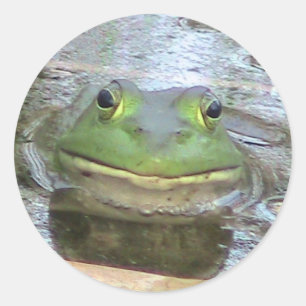 Kikker Ronde Sticker