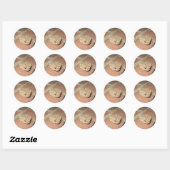 Kikker Ronde Sticker (Vel)