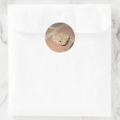 Kikker Ronde Sticker (Tas)