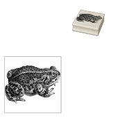 Kikker Rubberstempel (Gestempeld)