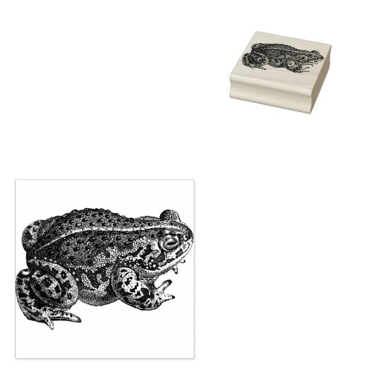 Kikker Rubberstempel (Gestempeld)