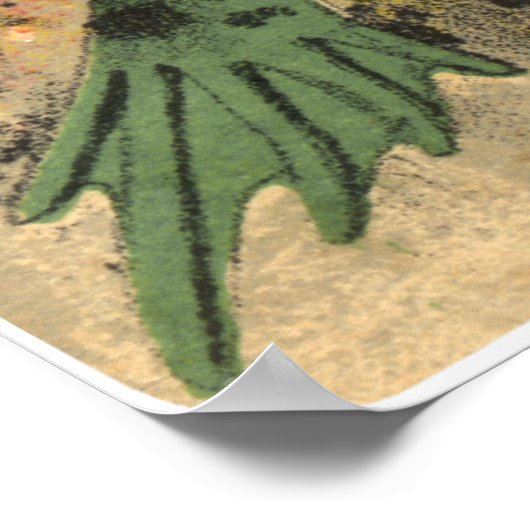 Kikker Serenade Poster (Hoek)