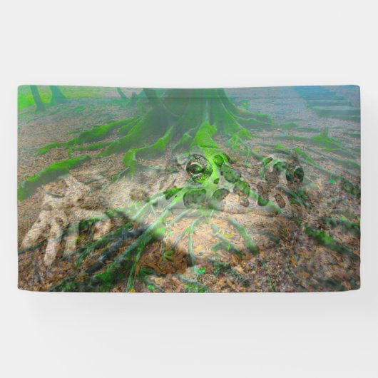 Kikker Spandoek (Horizontaal)