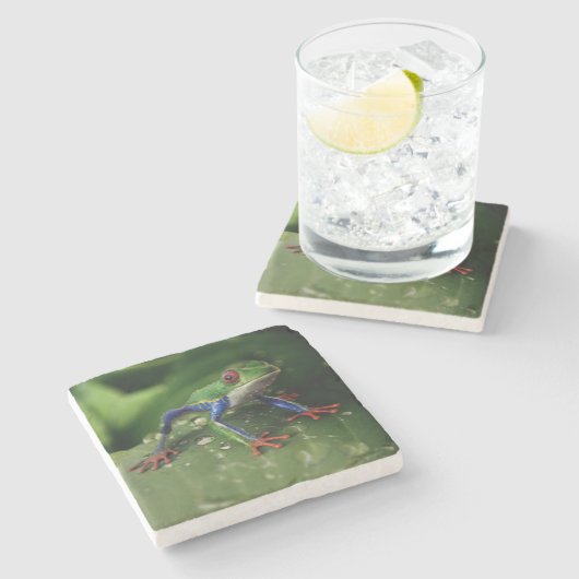 Kikker Stenen Onderzetter (Zijkant)