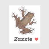 kikker sticker (Vel)