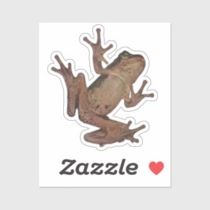 kikker sticker