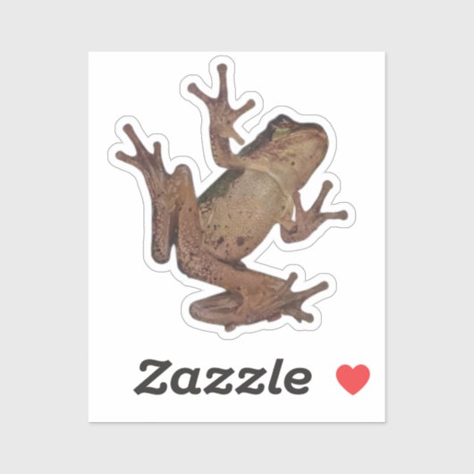 kikker sticker (Vel)