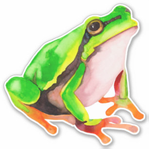 Kikker Sticker