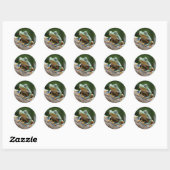 Kikker-stickers Ronde Sticker (Vel)