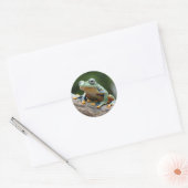 Kikker-stickers Ronde Sticker (Envelop)