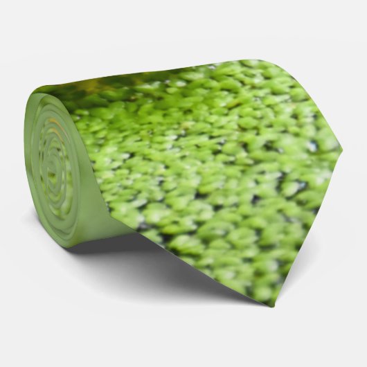 Kikker Stropdas (Opgerold)