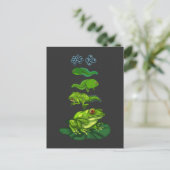 Kikker Tadpole Biology Metamorphosis Life Cycle Ar Briefkaart (Staand voorkant)