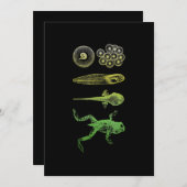 Kikker Tadpole Levenscyclus biologie Feestdagenkaart (Voorkant / Achterkant)