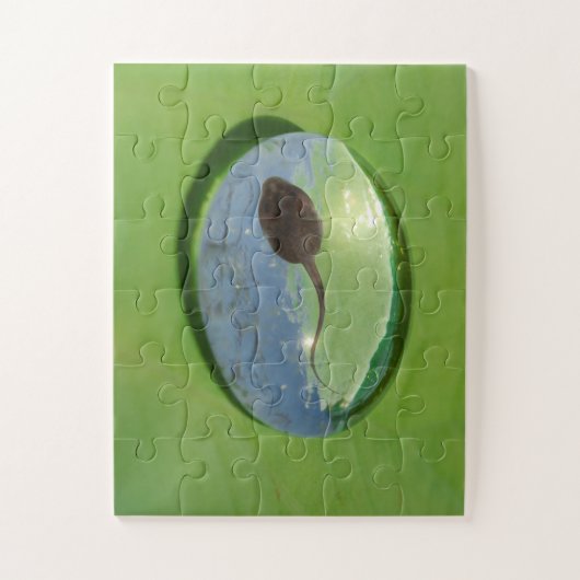 Kikker Tadpole zwemmen in waterval Legpuzzel (Verticaal)