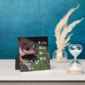 Kikker Tafelblad Plaque met Ezel Fotoplaat (Insitu)