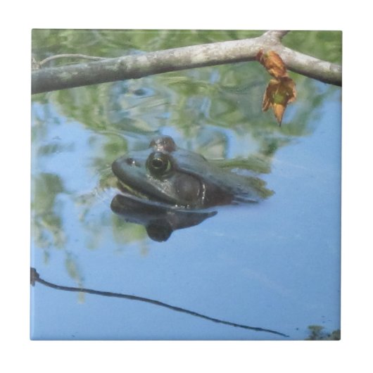 Kikker-Tegel Tegeltje (Voorkant)