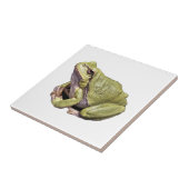 Kikker Tegeltje (Zijkant)