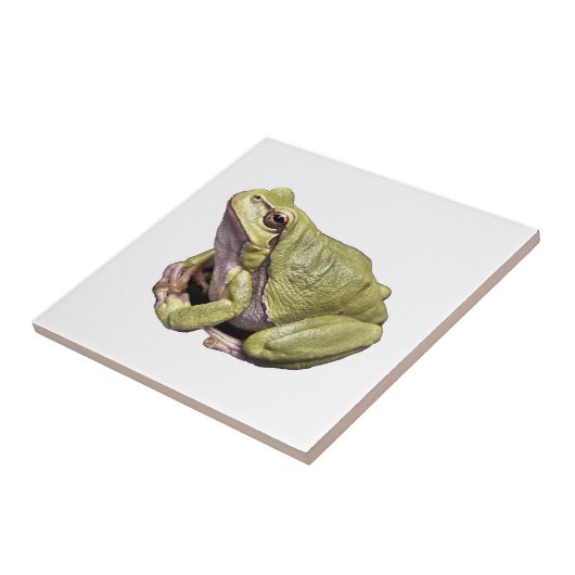 Kikker Tegeltje (Zijkant)