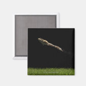 kikker uit vers groen gras magneet (Voorkant / Achterkant)