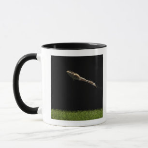 kikker uit vers groen gras mok