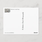 Kikker van Blanchard Briefkaart (Achterkant)