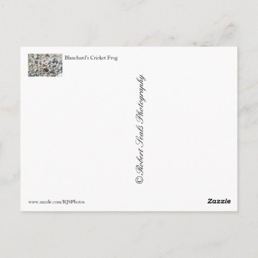 Kikker van Blanchard Briefkaart (Achterkant)