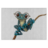 Kikker van de blauwe boom met oogbril op wit snijplank (Voorkant)